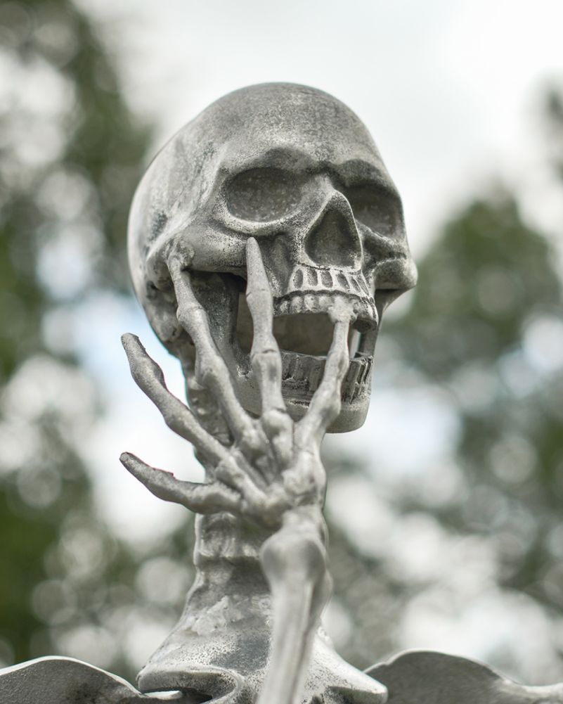 I've got no dick but I love to bone.