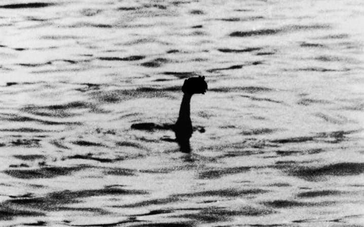 there has been another sighting..