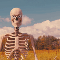 They're sending our sons to fight in the skeleton hell wars. Is there even any oil in skeleton hell?