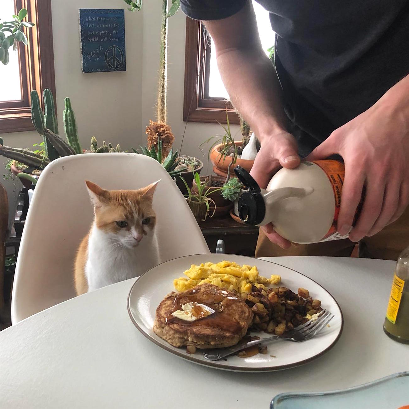 why haven't any animals evoluved to teleport