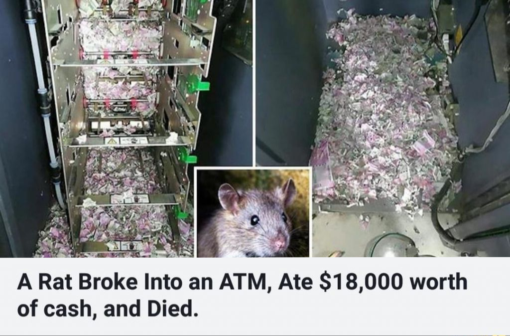 What made him do it?