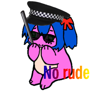 An advanced guide to ruders and rudef*gs